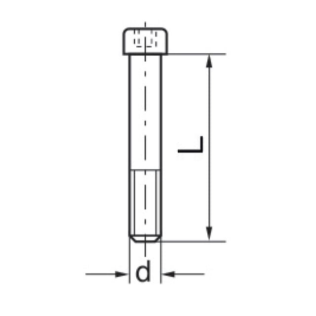 Innensechskantschraube verzinkt IS-C1           912/8.8VZ/M 10x45