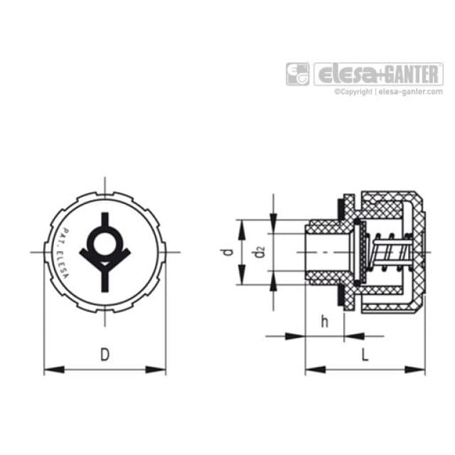 Entlüftungsschraube Kunststoff GN 552-42